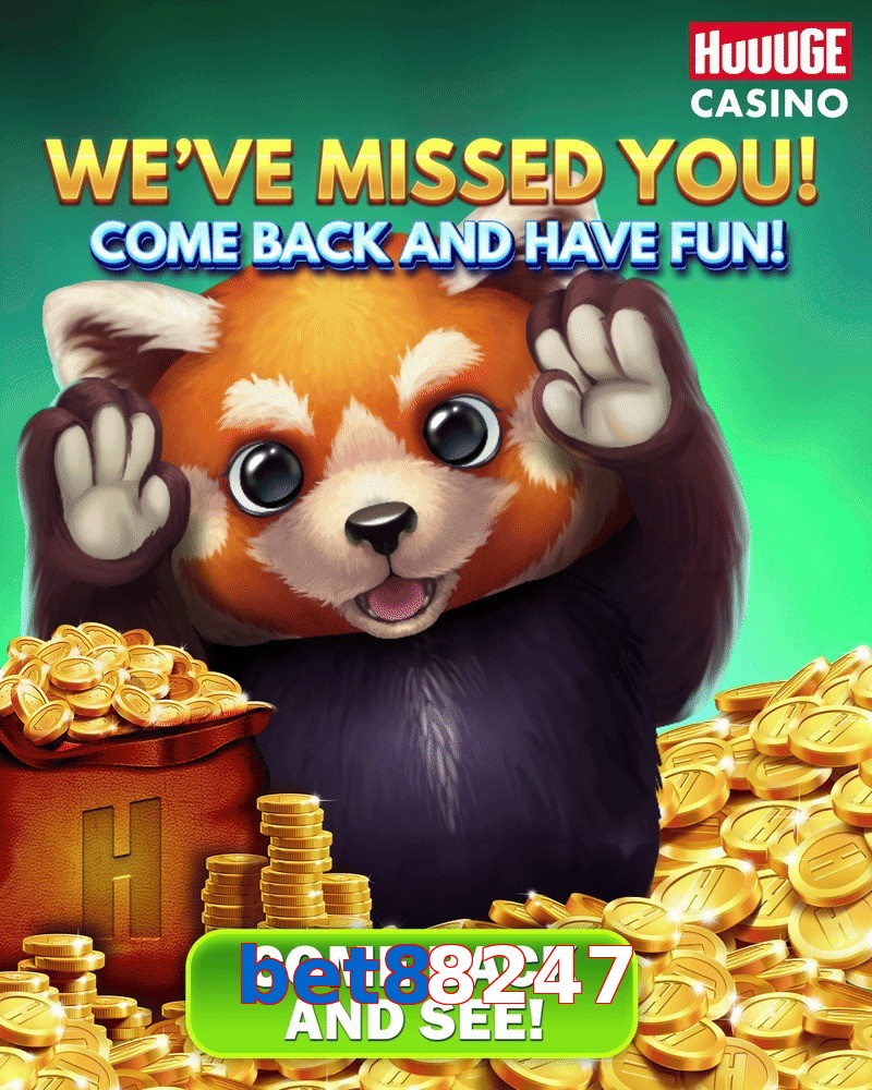 bet88247
